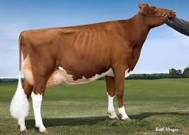 138680