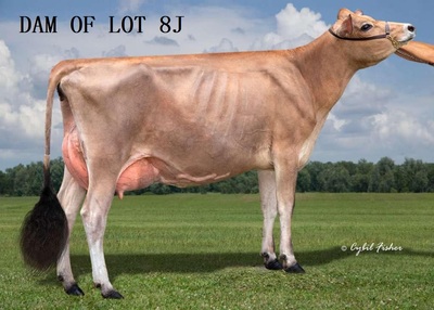 138720