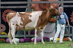 138712