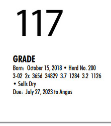 151114