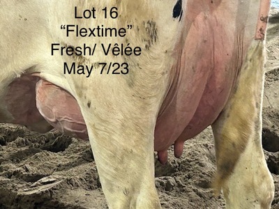 152814