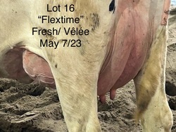 152814