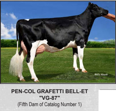 169033