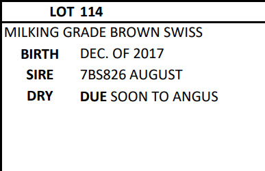 173605