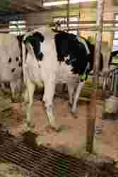 173645