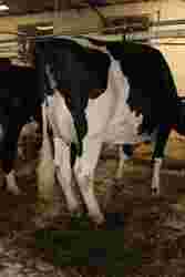 173755