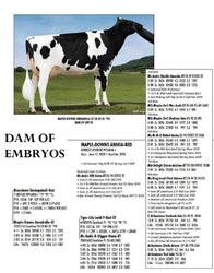 176945