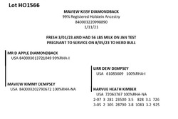 181731