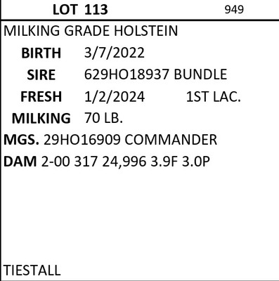 182567