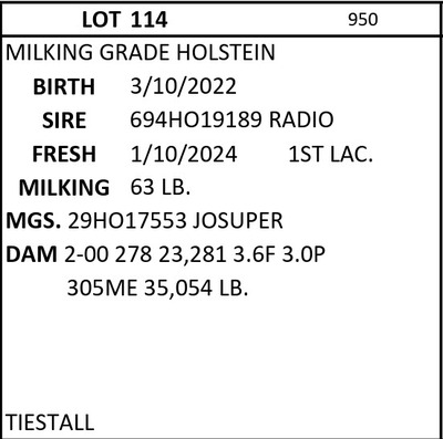 182569
