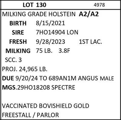 182606