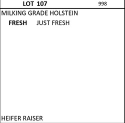 182553