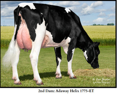 190995