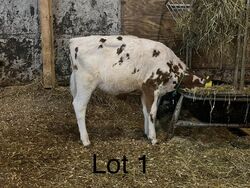 194615