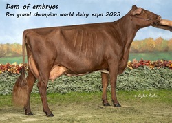 197908