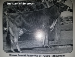 197915