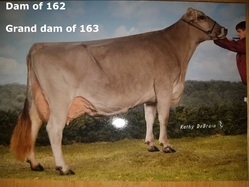 197919