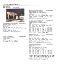 197035