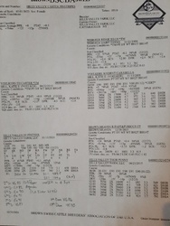 197036