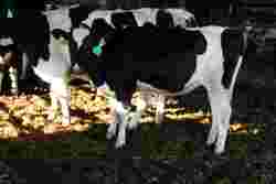187900