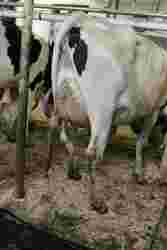 187968