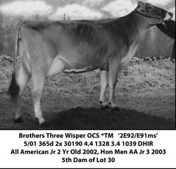 195475