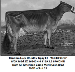 195481