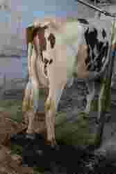 200559