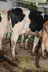 200570