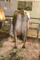 200578