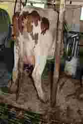 200634