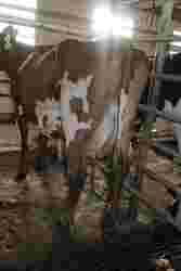 200672