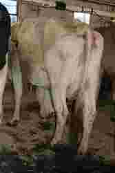 200796