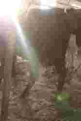 200857