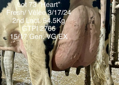 203967