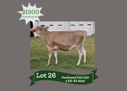212358