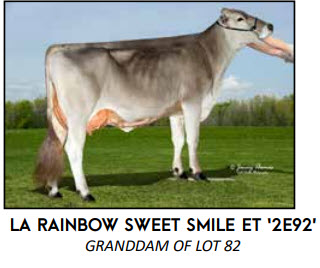 234393