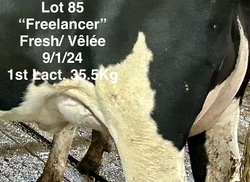 231608