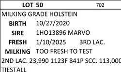 242029