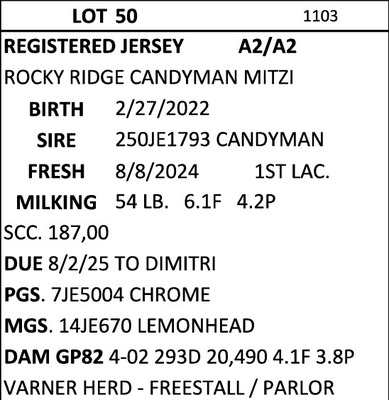244100