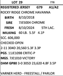 244049