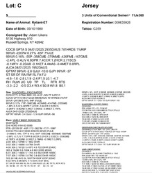 267163