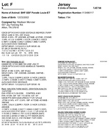 267166
