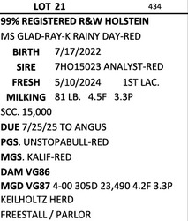 246641