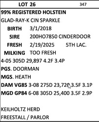 246651