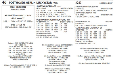 259711