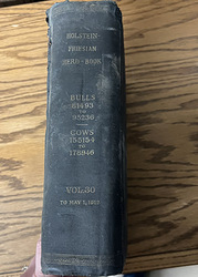 247133