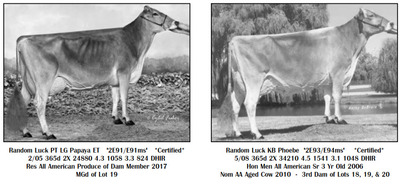 257495