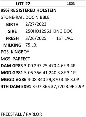 266203