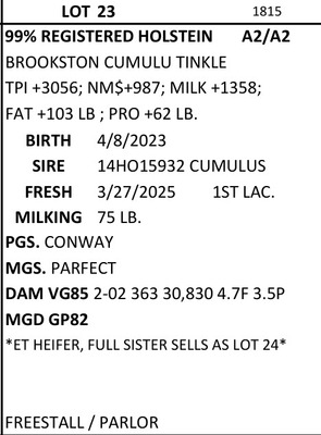 266216